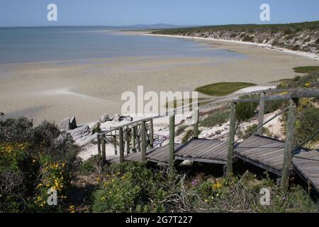 Das ruhige blaue Wasser der Langebaan Lagoon im West Coast National Park, Südafrika Stockfoto