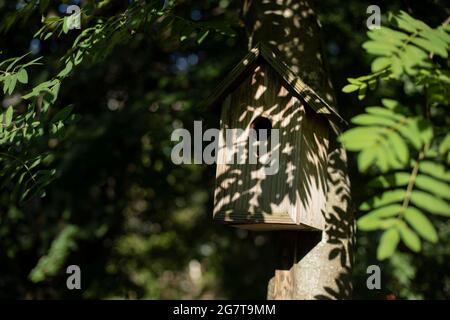 Haus für Vögel. Holzhaus für Zugvögel. Ein aus Brettern gehämmertes Vogelhaus hängt an einem Baum. Stockfoto