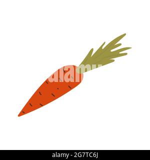 Orange Karotte flach handgezeichnete Stil Symbol Vektor Stock Vektor