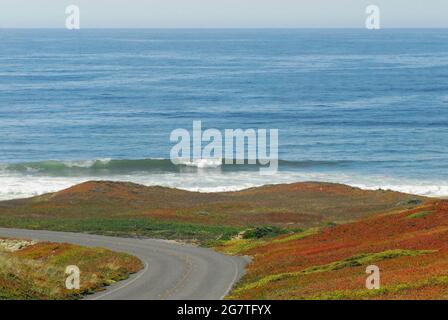 Küstenstraße durch Point Reyes, Kalifornien. Ein Panorama-Überblick über die wunderschön bunten Eispflanzen im Kontrast zum blauen Meer und Himmel. Stockfoto