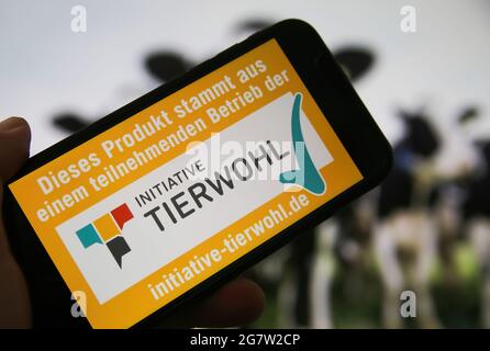 Viersen, Deutschland - 1. Juli. 2021: Nahaufnahme des Telefonbildschirms mit Logo-Schriftzug der Initiative tierwohl, verschwommener Hintergrund der Kühe Stockfoto