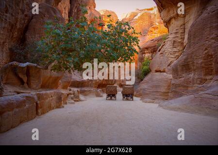 Petra ist ein Symbol Jordaniens und die meistbesuchte Touristenattraktion Jordaniens. Benannt zu einem der Neuen Sieben Weltwunder. Stockfoto