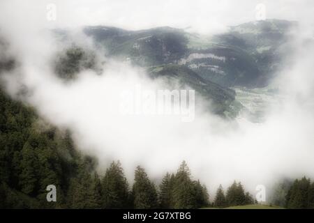 Wolkenbedeckter Wald und Berge. Nebliger Morgen in den Alpen, mystisch und verträumt. Stockfoto