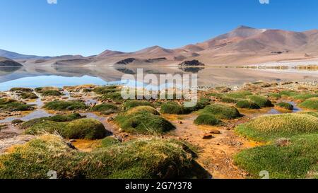 Laguna Santa Rosa, Parque Nacional Nevado de Tres Cruces, Atacama-Wüste, Chile Stockfoto