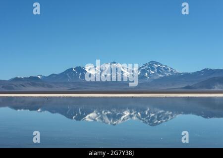 Schneebedeckter Nevado (Vulkan) Tres Cruces spiegelt sich in einem hochgelegenen See Laguna Santa Rosa, Parque Nacional Nevado de Tres Cruces, Chile, Atacama Stockfoto