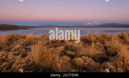 Laguna Santa Rosa bei Sonnenuntergang, Parque Nacional Nevado de Tres Cruces, Atacama Wüste, Chile Stockfoto