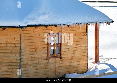 Kleines Holzhaus mit frischem Schnee bedeckt, umgeben von hohen Pinien in den Winterbergen. Stockfoto