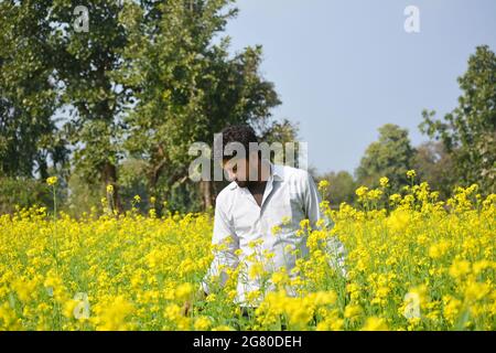 Junger indischer Bauer auf schwarzem Senffeld Stockfoto