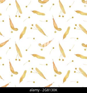 Lindenbaum Samen nahtlose Muster, Honig Pflanze Aquarell Hand gezeichnet florale Illustration, wiederholen Ornament Laub, Grün Element für Design, Dekor Stockfoto