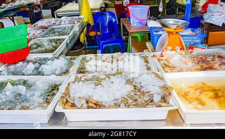 Muscheln Garnelen und andere ekelhafte Meeresfrüchte Thailändische Küche auf dem Bangrak Markt auf Koh Samui in Thailand. Stockfoto