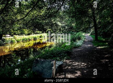 Am späten Nachmittag fällt das Licht über einen ländlichen Bach Stockfoto