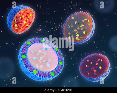 Lipid-basierte Nanopartikel für die Medikamentenverkapselung, illustrati Stockfoto