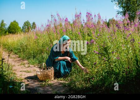 Junge Frau in volkstümlicher Bauernkleidung mit einem Weidenkorb einige wilde Pflanzen, Beeren oder Pilze auf der Wiese Stockfoto