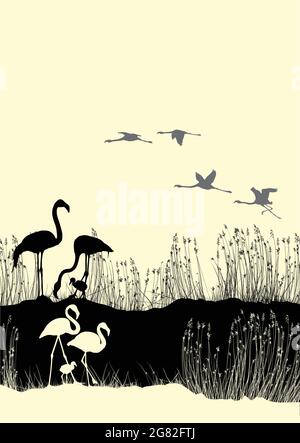 Flamingos mit ihren Jungen Stock Vektor