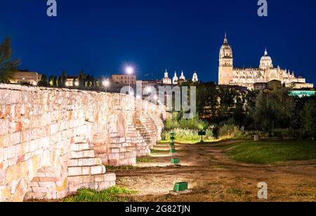 Die neue Kathedrale und die römische Brücke in Salamanca, Spanien Stockfoto