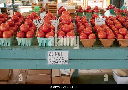 Farm frische Beefsteak Tomaten auf dem Display zum Verkauf in einem ländlichen Alabama Bauernmarkt oder Straßenmarkt in Montgomery Alabama, USA. Stockfoto