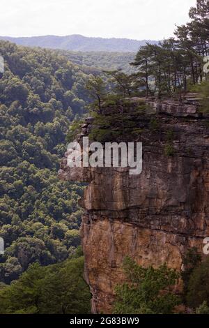 Rock Cliff auf dem Endless Wall Trail im New River Gorge National Park Stockfoto