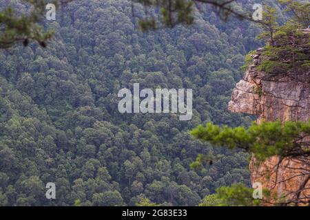 Rock Cliff auf dem Endless Wall Trail im New River Gorge National Park Stockfoto