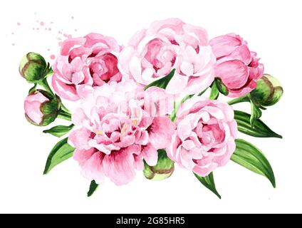 Rosa Pfingstrosen Blumen Bouquet. Handgezeichnete Aquarellillustration, isoliert auf weißem Hintergrund Stockfoto