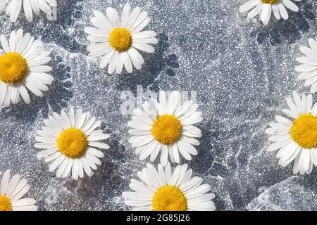 Sommerhintergrund. Natürliche Kamillenblüten und Wellenwasser auf hellgrauem Hintergrund. Draufsicht Flat Lay. Stockfoto