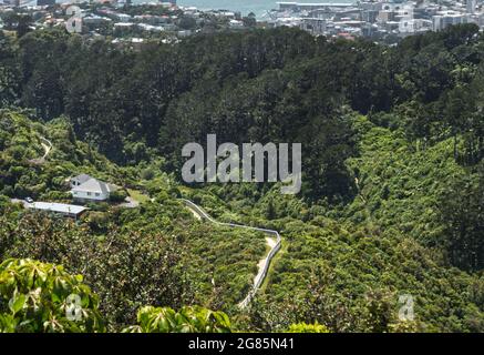 Der Raubtier Zaun in Zealandia. Der Ökosaktuar auf der rechten Seite und der Vorort Karori auf der linken Seite. Die Stadt Wellington und der Hafen liegen dahinter. Stockfoto