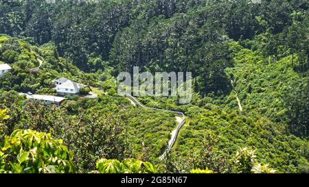 Der Raubtier Zaun in Zealandia. Das Ökosaktuar auf der rechten Seite und der umliegende Vorort Karori auf der linken Seite. Stockfoto