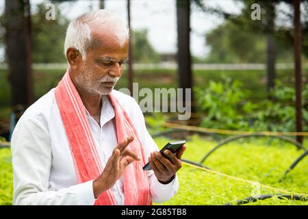 Indian Farmer beschäftigt mit dem Handy, während sitzen zwischen den Ernte Setzlinge im Gewächshaus oder Poly House - Konzept der Landwirt mit Technologie Stockfoto