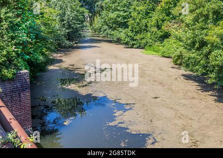 Der Royal Military Canal, Hythe mit Algen bedeckt. Stockfoto