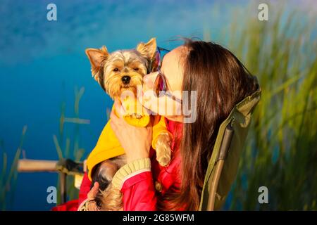 Eine junge schöne Frau umarmt und küsst den glücklichen Yorkshire Terrier Hund in einem gelben Pullover. Ein Mädchen in einer roten Jacke und ein reinrassiger Welpe entspannen sich Stockfoto