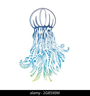 Handgezeichneter dekorativer Quallen-Doodle. Vektor-Illustration im Tatoo-Stil. Stock Vektor