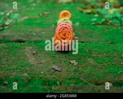 Schöne Rose Blume Ton Kunst-Objekt auf Sequenz auf grüner Oberfläche auf natürlichem Feld präsentiert. Stockfoto