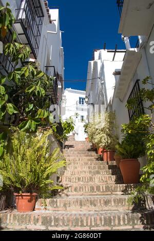 Frigiliana Dorf Spanien. Malerische Gasse in der Altstadt. Steile Stufen mit bunten Blumen gesäumt. Typisch spanische Szene. Vertikale Aufnahme. Stockfoto