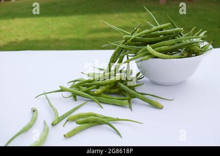 Selektiver Fokus von Radish Pods Haufen isoliert auf weißem Hintergrund. Frisches, indisches und pakistanisches Gemüse aus biologischem Anbau konzentriert sich auf frisches, saisonales Gemüse Stockfoto