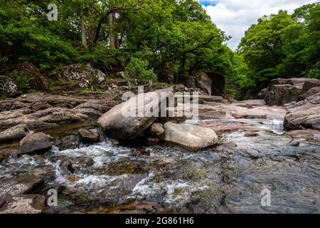 Brodelnder Bach mit großen Steinen, versteckt in einem grünen Wald Stockfoto