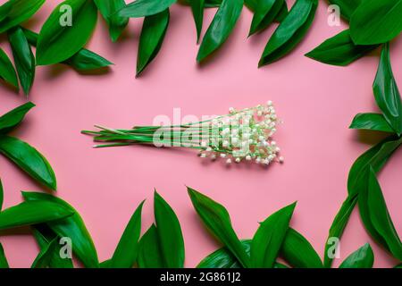 Bouquet von lilly of the Valley mit grünen Blättern als Blumenrahmen. Flach Lay mit rosa Hintergrund Stockfoto