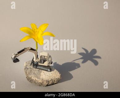 Große gelbe Lilienblume auf dem Pfeil eines grauen Spielzeugmodells eines Baubaggers. Business - Gratulation, Urlaub, Bauertag. Interessant Stockfoto