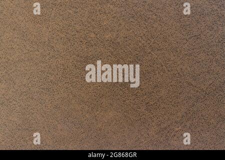 Der Hintergrund ist braun. Perfarierte Haut. Buchumschlag. Abstrakter Hintergrund für Design Stockfoto