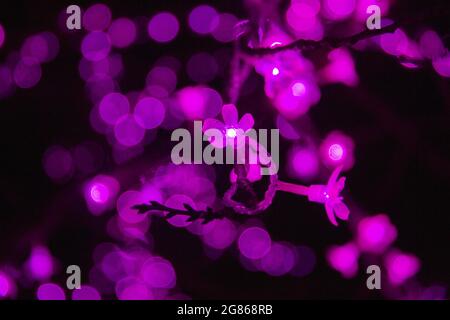 Der Cherry Tree Walkway bei der Kew Gardens Christmas Lights Show. Stockfoto