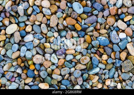 Dies sind nasse Flusskiesel und kleine runde Kiesel. Durchgehende Hintergrundfarbe. Draufsicht. Baumaterial oder Dekoration. Hintergrundbild zurück. Stockfoto