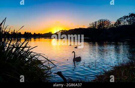 Wunderschöner Blick auf den Sonnenuntergang im Centennial Park Stockfoto