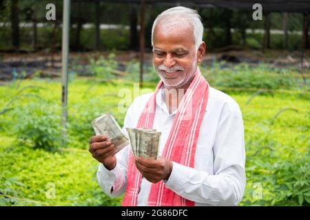 Happy Smiling Indian Farmer Counting Währungsscheine im Gewächshaus oder Polyhouse - Konzept des Profits oder verdiene Geld aus der Gewächshauszucht Stockfoto