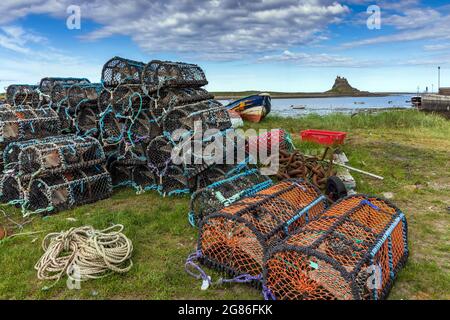 Hummertöpfe am Ufer des Hafens von Holy Island an der Küste von Northumberland. Schloss Lindisfarne liegt im Hintergrund, hinter dem Hafen. Stockfoto