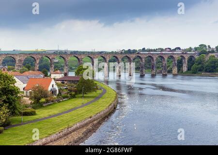 Ein Zug, der die Royal Border Bridge über den Fluss Tweed bei Berwick upon Tweed in Northumberland, England, Großbritannien, überquert Stockfoto