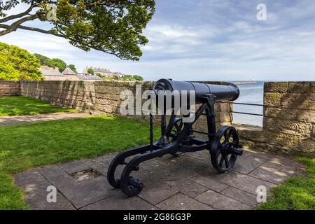 Eine gefangene russische Kanone aus dem Krimkrieg wurde an einer Brüstung in den Verteidigungsmauern um Berwick-upon-Tweed, Northumberland, England, Großbritannien, aufgestellt Stockfoto