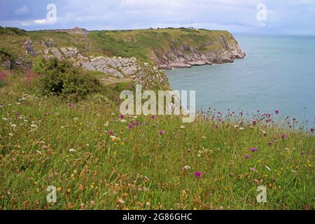 Berry Head Leuchtturm und Naturschutzgebiet, Paignton, Devon Stockfoto