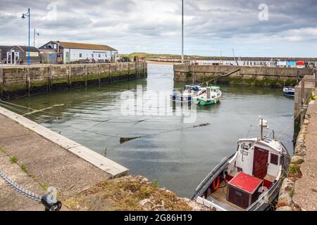 Der kleine Hafen von Amble an der Northumberland Küste, England Stockfoto