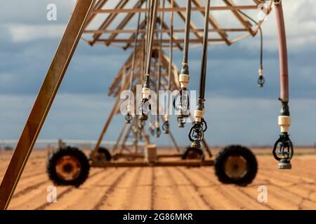 Plains, Texas - Center-Pivot Bewässerungstechnik auf einer West Texas Farm. Stockfoto