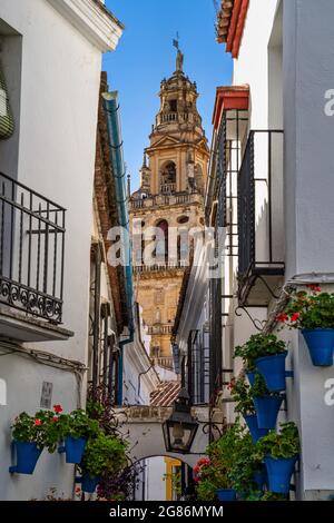 Der Glockenturm Torre Campanario an der Moschee-Kathedrale von Córdoba, Spanien. Ein Minarett der Mezquita wurde der Glockenturm der Kathedrale umgewandelt Stockfoto