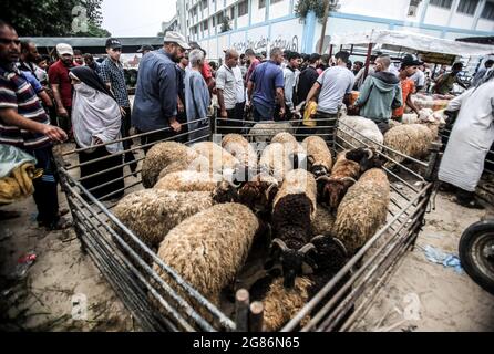 Gaza, Palästina. Juli 2021. Palästinenser sammeln Tiere auf einem Viehmarkt vor Eid al-Adha in Rafah im südlichen Gazastreifen. Kredit: SOPA Images Limited/Alamy Live Nachrichten Stockfoto