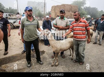 Gaza, Palästina. Juli 2021. Palästinenser stellen Schafe zum Verkauf auf einem Viehmarkt vor Eid al-Adha in Rafah im südlichen Gazastreifen aus. Kredit: SOPA Images Limited/Alamy Live Nachrichten Stockfoto